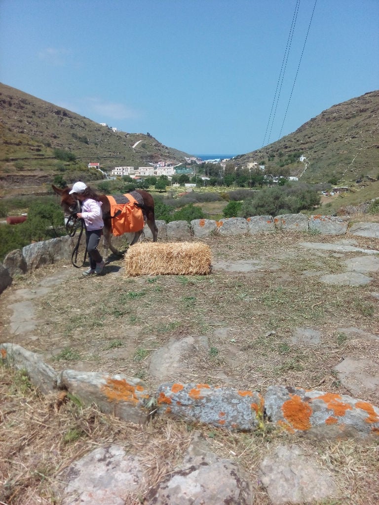child walking the donkey in the 'Aristaios' riding school
